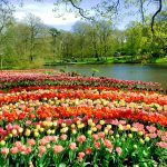 Kebun Raya Keukenhof