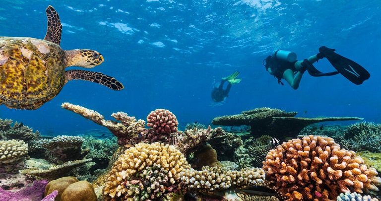 Pulau Samalona Surga Bawah Laut