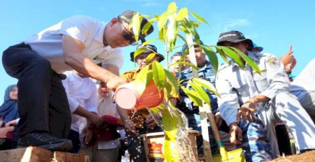 Gerakan Sulsel Menanam : 6,6 Juta Pohon untuk Masa Depan Lingkungan