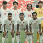 timnas indonesia aff 2024