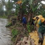Warga Desa Alam Buana, Kecamatan Tomoni Timur, Kabupaten Luwu Timur, bahu-membahu memperbaiki tanggul Sungai Powosoi yang jebol dengan menggunakan karung berisi tanah.
