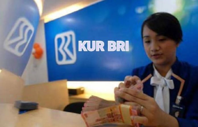 Simulasi Angsuran KUR BRI 2025 Plafon Rp50 Juta Tenor 5 Tahun Terbaru