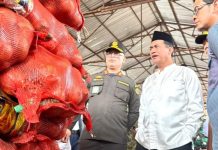 Mentan Amran Sidak 133,5 ton Bawang Bombay Selundupan Berpenyakit: Tidak Ada Ampun, Usut Sampai Akar