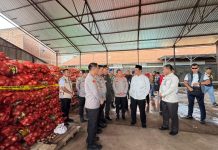 Telepon Subuh Mentan Amran Berujung Gagalnya Penyelundupan Bawang Bombay Ilegal 133,5 Ton di Semarang