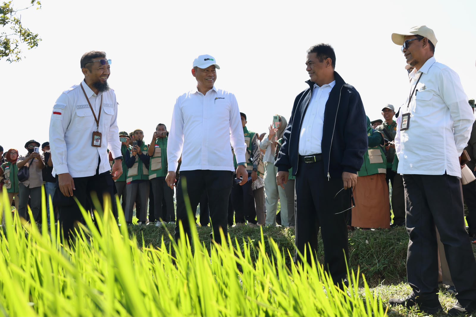 Di NTB, Mentan Amran Kenalkan PM-AAS, Bidik Indonesia Jadi Eksportir Beras